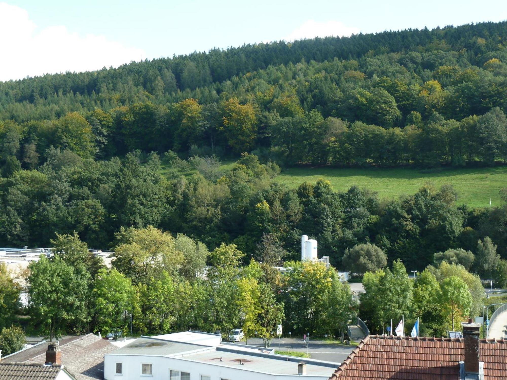 Lina'S Rhoen Bad Brückenau Buitenkant foto