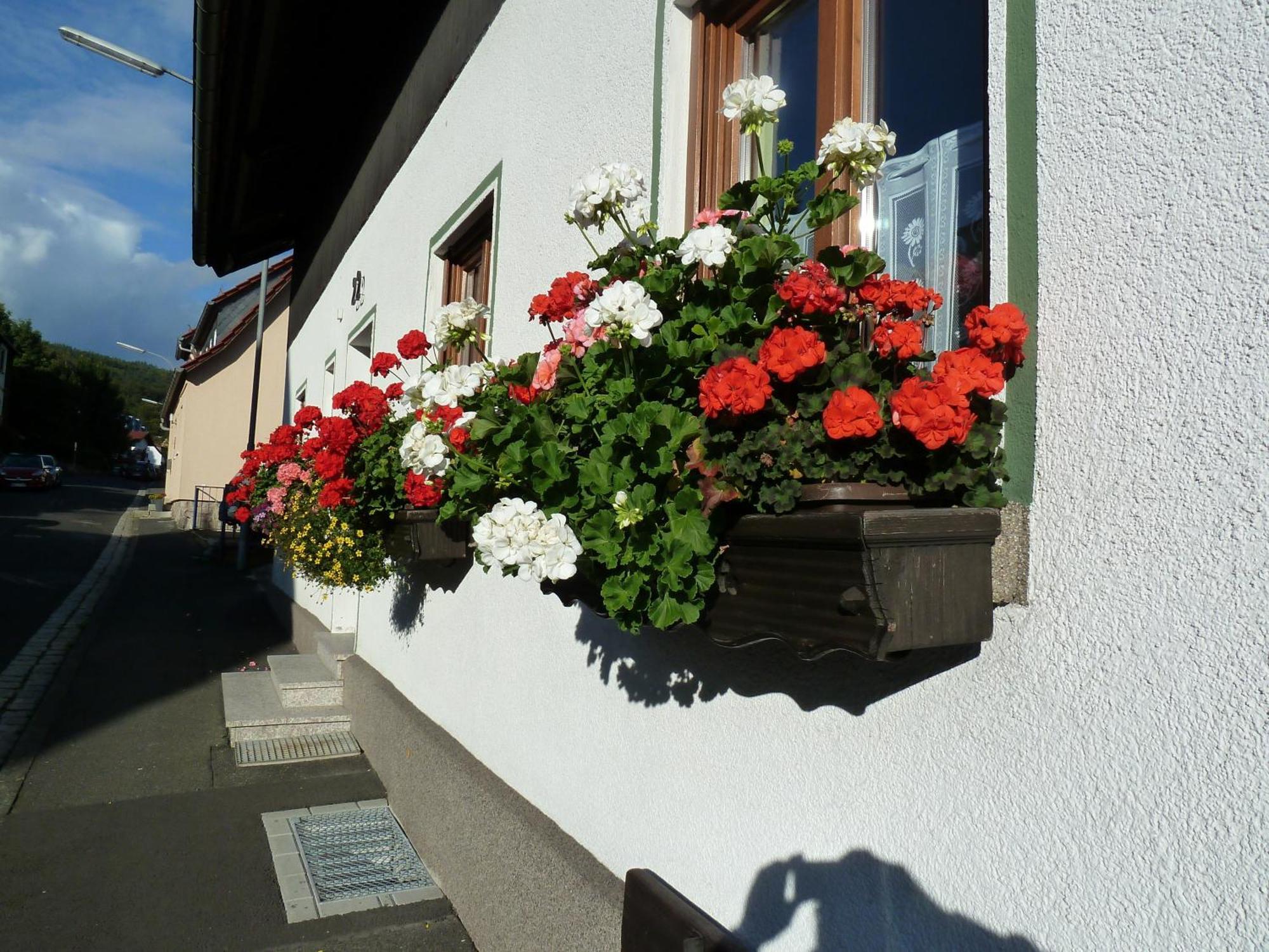 Lina'S Rhoen Bad Brückenau Buitenkant foto